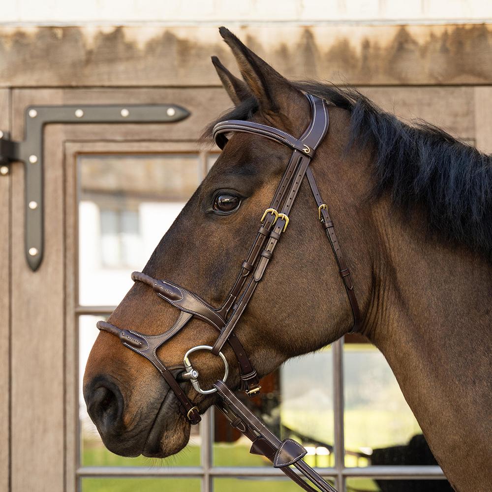 Bridles